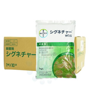 ŐpEۍ VOl`[ WDG 1kg×10 _ XgXK[h ŗp m xgOX ԏĕa sVEa zZ`a oCG
