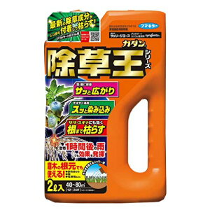 除草剤 雑草 カダン 除草王シリーズ ザッソージエース 2L スギナ ササ 農薬 枯らす 庭木 根 効果 グリホサート 公園 駐車場 フマキラー