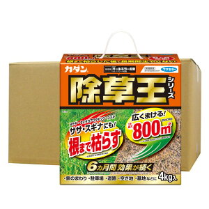   J_  I[L[ 4kg×4 _ TT XMi  \h  t}L[