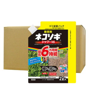  lR\MV[V6 GRpE` 2L×8 _ t G  ͂炷 \h  C{[i