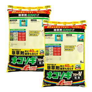  lR\MubNV 5kg×2 _ G ͂炷 \h  C{[i