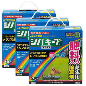 VoL[vvXV 2kg×3 _ Ő 엿  G ͂炷 \h  C{[i