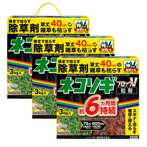  lR\MubNV 3kg×3 _ G ͂炷 \h  C{[i