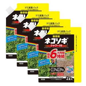  lR\MV[V6 GRpE` 2L×4 _ t G  ͂炷 \h  C{[i