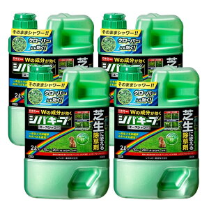 �V�o�L�[�v�G�[�X�V�����[ 2L×4�{ �_�� �Ő� ������ �G�� �͂炷 ���� ���� ���C���{�[��i