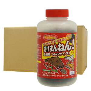  ܂˂ ΃TCY 1L×12 yz