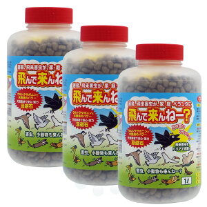 Q ng JX 򗈊Q   x_ɔŗˁ[H ΃TCY 1L×3{ ݒuplbg 12ܕt