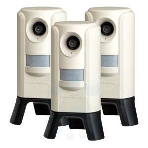 L悯 g K[foAIII GDX-3 ×3 ˂悯 lR ϓ g  N  Q ΍ y