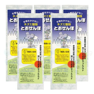 lY~쏜 Ƃ 10×5 lY~Nh~ lY~ l ˂  쏜