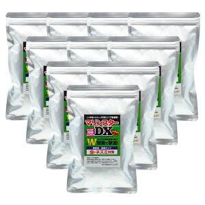  }X^[DX i100g×2ܕsDzj×10 悯 L^Cv  RoG JV lY~ ΍ Ɩp O[p[