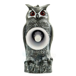 悯 gTb^ TTN-T5 VGj~ ^CK[ { JX Nh XY Q  ΍ ӂ낤  Њd _ h ߖ H q {{ {