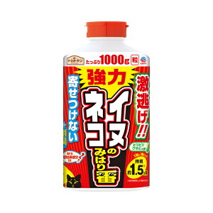 A[XK[f Ck lR݂̂͂ 1000g  L L悯