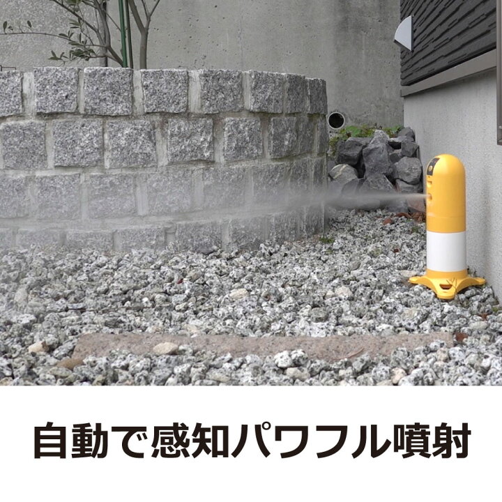 フマキラー 猫まわれ右 びっくりスプレー セット 猫よけ ネコ除け 忌避 糞被害 対策 猫まわれ右びっくりスプレー 猫対策 グッズ イタズラ防止 ネコよけ ねこよけ 野良猫対策 猫避け 猫除け 家庭菜園 菜園 園芸 対策 おしゃれ おすすめ Cb99 買援隊2号店 プロ