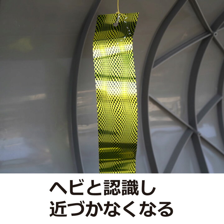 楽天市場】【ネコポス対応!送料275円】カラス ハト ムクドリ 被害 対策 鳥類 忌避 鳥よけフィルム ヘビウロコ 5枚入 鳥害防止 鳩 烏 対策 【北海道・沖縄・離島配送不可】 : キャンペーン365 楽天市場】【ネコポス対応!送料275円】カラス ハト ムクドリ 被害 対策 鳥類 忌避 鳥よけフィルム ヘビウロコ 5枚入 鳥害防止 鳩 烏 対策 【北海道・沖縄・離島配送不可】 : キャンペーン365
