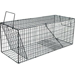 ߊlX[p[ߊliLLjubN C^` ^CX k[gA ACO}ߊl Rp yz