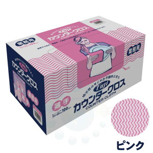 tW JE^[NX  sN 100 Ɩp sDzӂ