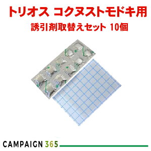 xmt[o[ gIX U܎ւZbg m10n RNkXghLp yz