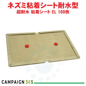 ϐ SV[g EL 100 Ɩp SlY~߂ SV[g Sgbv ubN^