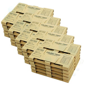 SLup gbv Rj[gbv 10×5Zbg SLu̐