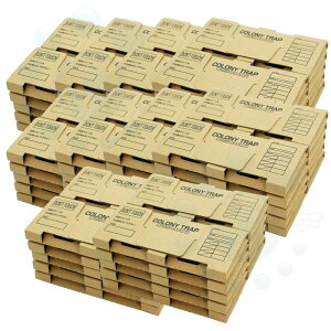 SLup gbv Rj[gbv 10×10Zbg SLu̐