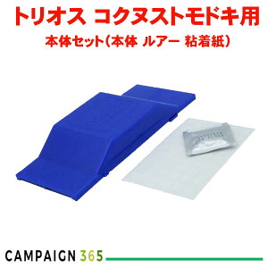 yZ[zxmt[o[ gIX gbv{̃Zbg m1n RNkXghLp