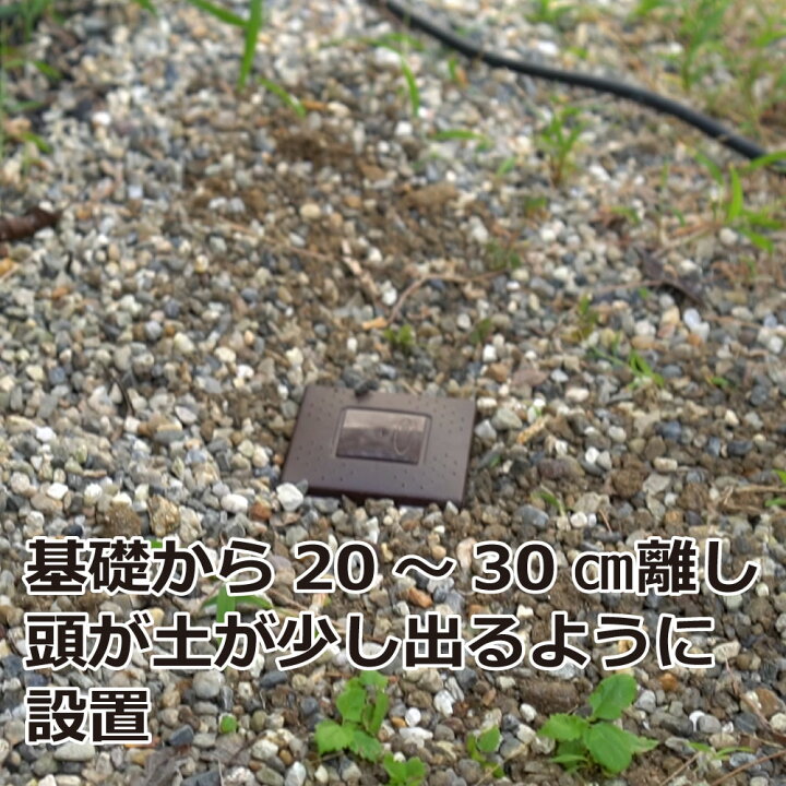 楽天市場 イカリ消毒 シロアリハンター 6個入 24箱 ケース シロアリ 白蟻 駆除 殺虫剤 送料無料 北海道 沖縄 離島配送不可 キャンペーン365