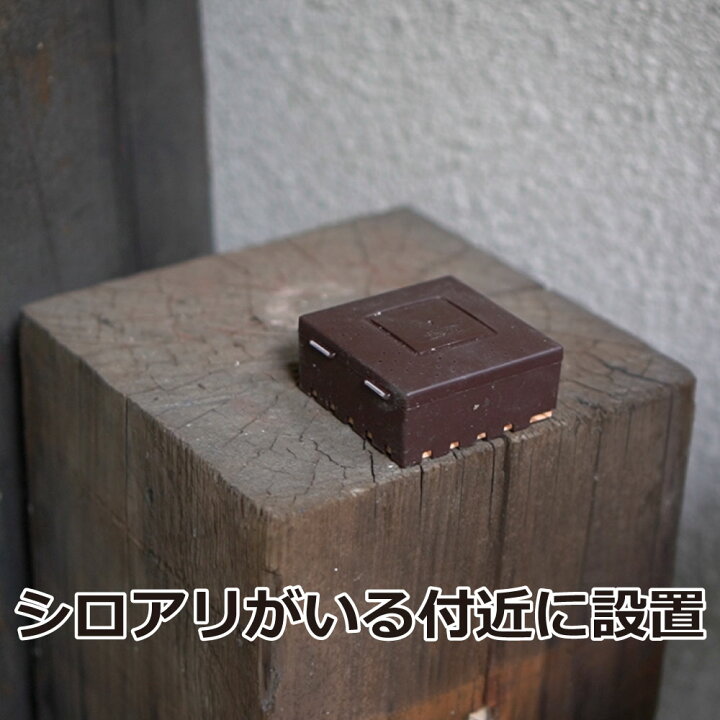 楽天市場 イカリ消毒 シロアリハンター 6個入 24箱 ケース シロアリ 白蟻 駆除 殺虫剤 送料無料 北海道 沖縄 離島配送不可 キャンペーン365