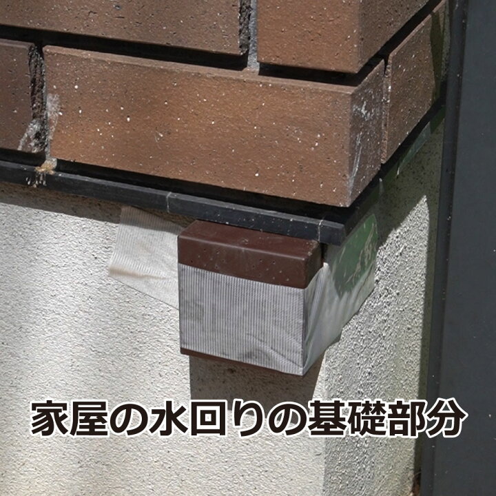 楽天市場 イカリ消毒 シロアリハンター 6個入 24箱 ケース シロアリ 白蟻 駆除 殺虫剤 送料無料 北海道 沖縄 離島配送不可 キャンペーン365