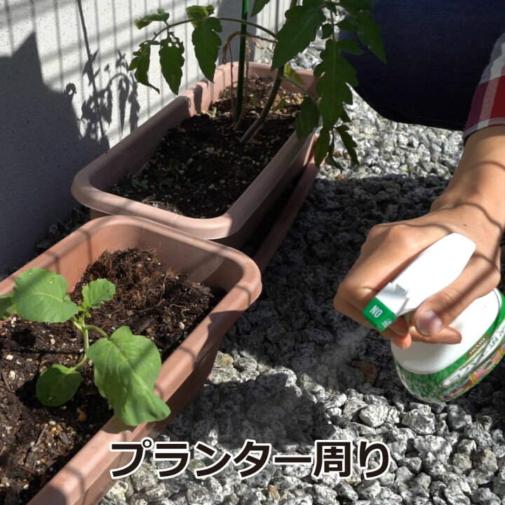 楽天市場 タカラダニ駆除 コバエ駆除 ムシクリン コバエ用スプレー 400ml 北海道 沖縄 離島配送不可 キャンペーン365 楽天市場 タカラダニ駆除 コバエ駆除 ムシクリン コバエ用スプレー 400ml 北海道 沖縄 離島配送不可 キャンペーン365