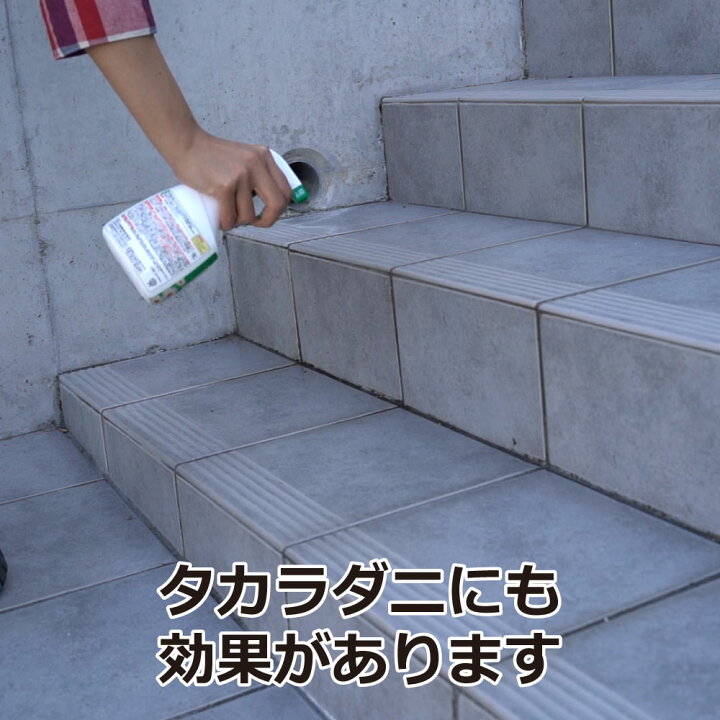 楽天市場 タカラダニ駆除 コバエ駆除 ムシクリン コバエ用スプレー 400ml 北海道 沖縄 離島配送不可 キャンペーン365 楽天市場 タカラダニ駆除 コバエ駆除 ムシクリン コバエ用スプレー 400ml 北海道 沖縄 離島配送不可 キャンペーン365