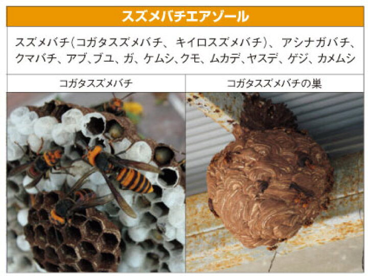 楽天市場 住友化学園芸 スズメバチエアゾール 480ml 蜂防除 スプレー 北海道 沖縄 離島配送不可 キャンペーン365