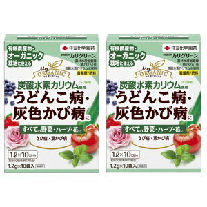 Eۍ JO[ 1.2g×10×2 ϗt  ʎ  ZFw|