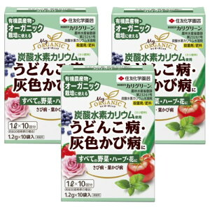 Eۍ JO[ 1.2g×10×3 ϗt  ʎ  ZFw|