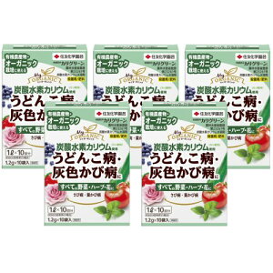 Eۍ JO[ 1.2g×10×5 ϗt  ʎ  KINCHO|