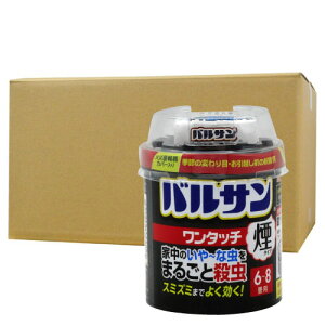 JV ގ `^eV VoV 쏜 oT ^b` ^Cv 20g 6-8p×30/P[X 񉌍