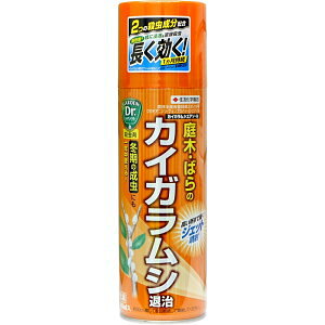 E JCKVGA][ 480ml KINCHO|