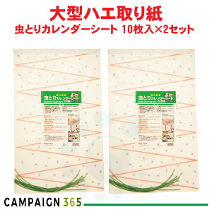 nG莆 ^ ƂJ_[V[g 10×2Zbg {ɓ؎  墑΍ nG쏜 ͔S {{ { Ώtm