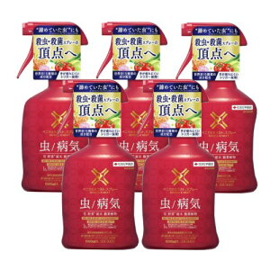EEۍ xjJXlNXgXv[ 1000ml×5{  ϗt Ԗ   Q AuV n_j ZFw|