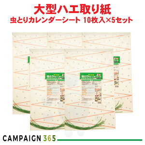 nG莆 ^ ƂJ_[V[g 10×5Zbg {ɓ؎  nG 墑΍ nG쏜 ͔S {{ { ^SV[g Ώtm