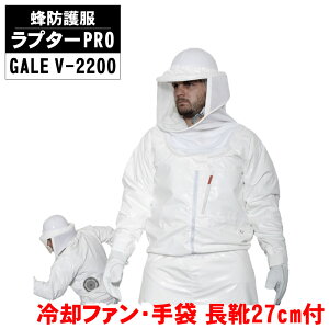 Ih앞 v^[PRO GALE V-2200 Ih V-5t C 27cmt dt@t v^[v MǑ΍ I XYo` 쏜 ގ n`h앞 pt@  yz