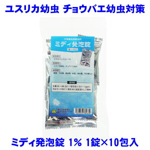 E `EoG m~oG RoG 򉻑 r 쏜 ΍ ~fBA 1 1×10 O䉻wNbvCt\[V y䂤pPbgΉz