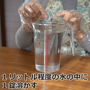 楽天市場 チョウバエ ユスリカ コバエ幼虫駆除薬剤 デミリン発泡錠 1 3g 100錠入り チョウバエ ユスリカ コバエ幼虫駆除薬剤 送料無料 北海道 沖縄 離島配送不可 キャンペーン365