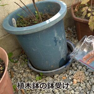 楽天市場 チョウバエ ユスリカ コバエ幼虫駆除薬剤 デミリン発泡錠 1 3g 100錠入り チョウバエ ユスリカ コバエ幼虫駆除薬剤 送料無料 北海道 沖縄 離島配送不可 キャンペーン365
