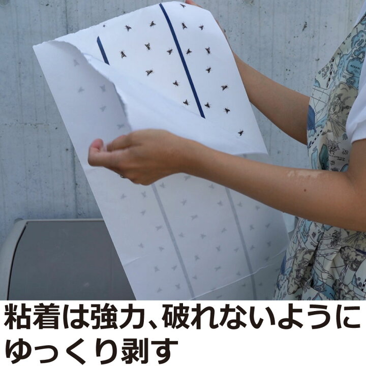 楽天市場 ハエ退治 ピタットボックス Ses 大型ロール式ハエ取り紙 置いておくだけ簡単 イエバエ ハエ 蚊 コバエ虫除け駆除対策 送料無料 北海道 沖縄 離島配送不可 キャンペーン365