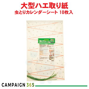 nG莆 ^ ƂJ_[V[g 10 {ɓ؎  墑΍ nG쏜 ͔S {{ { Ώtm