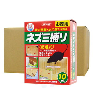 lY~SV[g ɂ悢`[NƖp 10×10 ϐ CJ