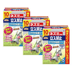 A[XK[f lY~p֎~ GTtSV[g 10Zbg×3