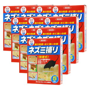 lY~SV[g ɂ悢`[NƖp 5×10 ϐ lY~ 쏜 ΍ CJ