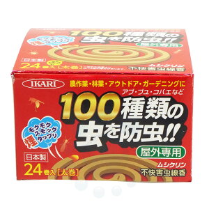 y󂠂̔FOz CJ VN sQ 24 Op Au u RoG  񂱂 悯 Lv yLZEԕiȄiƓwsiz