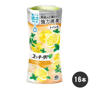 L XbL[I gCp ₩ȃO[vt[c 400ml×16{ P[X̔ A[X